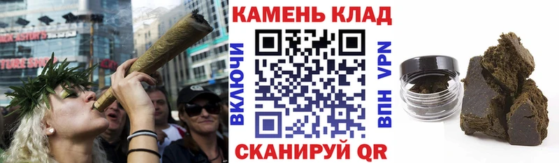 что такое наркотик  Тутаев  Гашиш индика сатива 