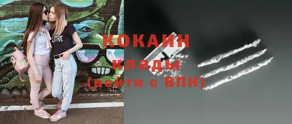 шишки Зеленодольск