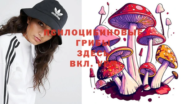 шишки Зеленодольск