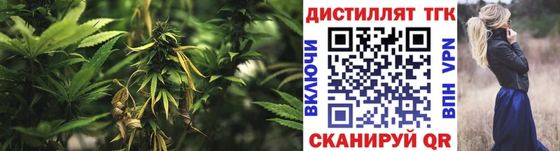 купить наркотик  Тутаев  Дистиллят ТГК THC oil 