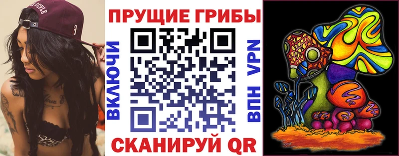 Галлюциногенные грибы мицелий  Тутаев 
