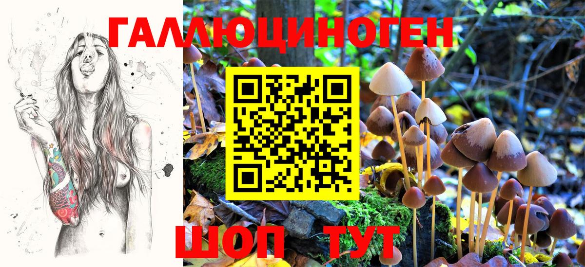 Галлюциногенные грибы MAGIC MUSHROOMS Тутаев