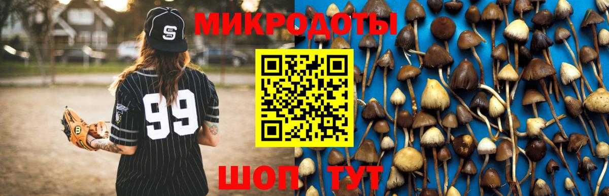 Тутаев  Псилоцибиновые грибы ЛСД  Вход с VPN 